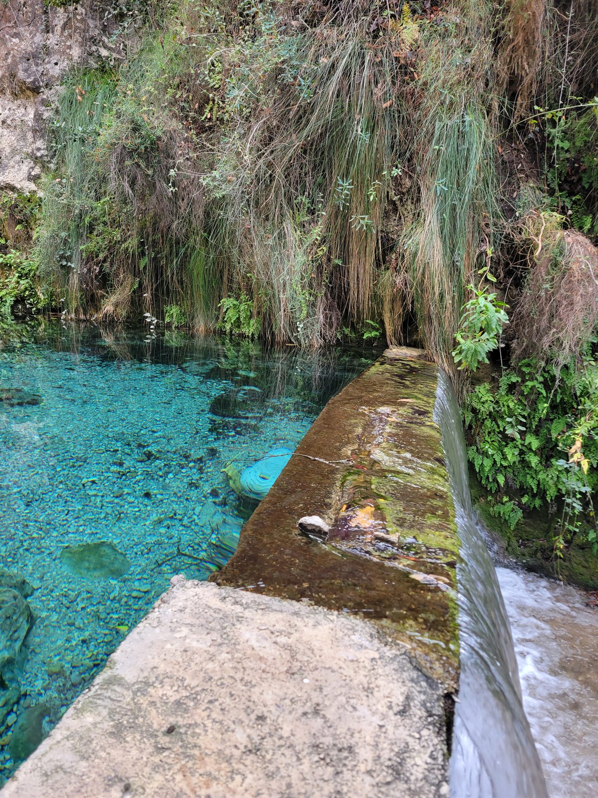 Crystal-clear turquoise water surrounded by grasses and ferns in Akchour