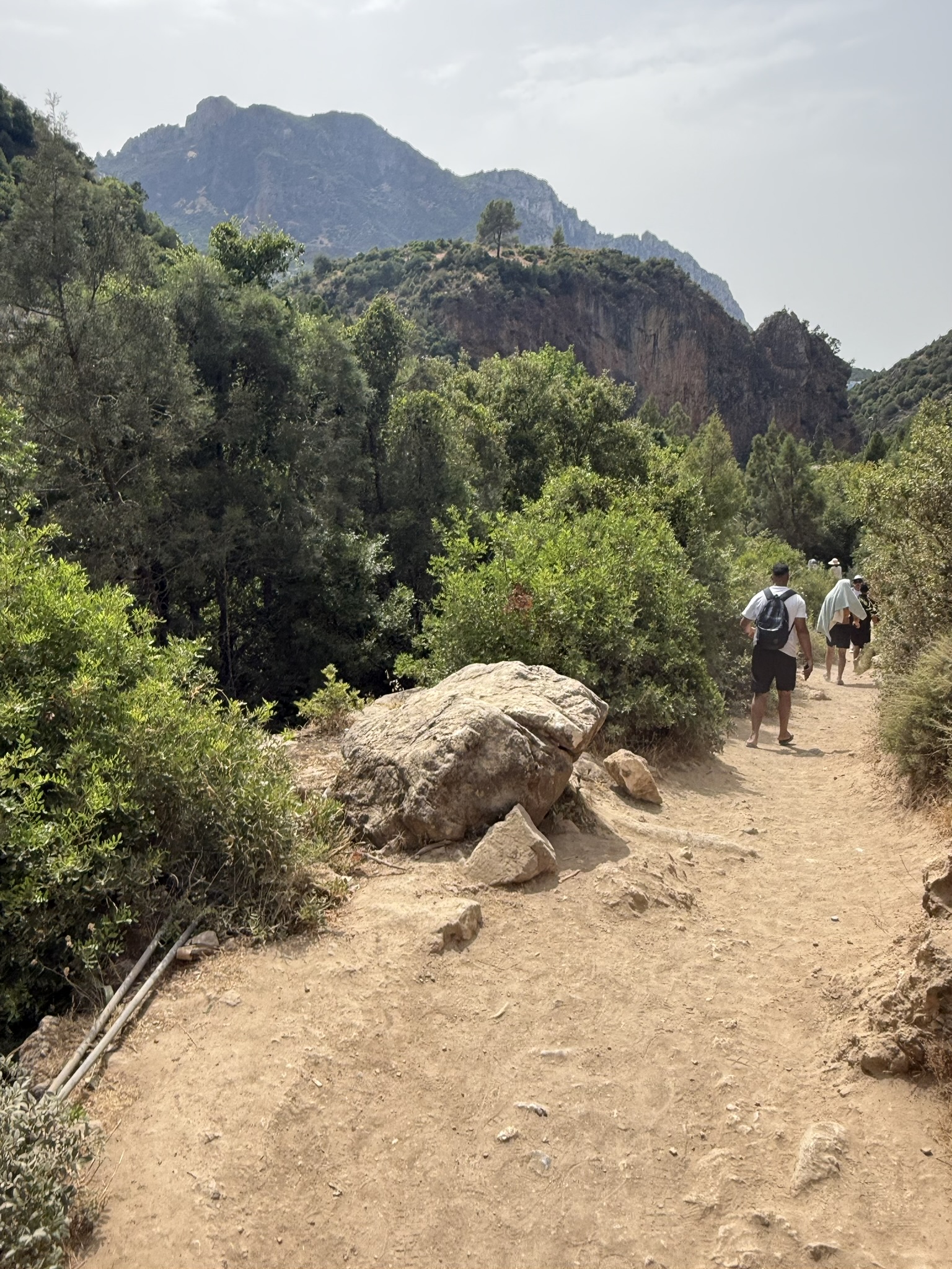 A sunlit hiking trail winding through the Rif Mountains